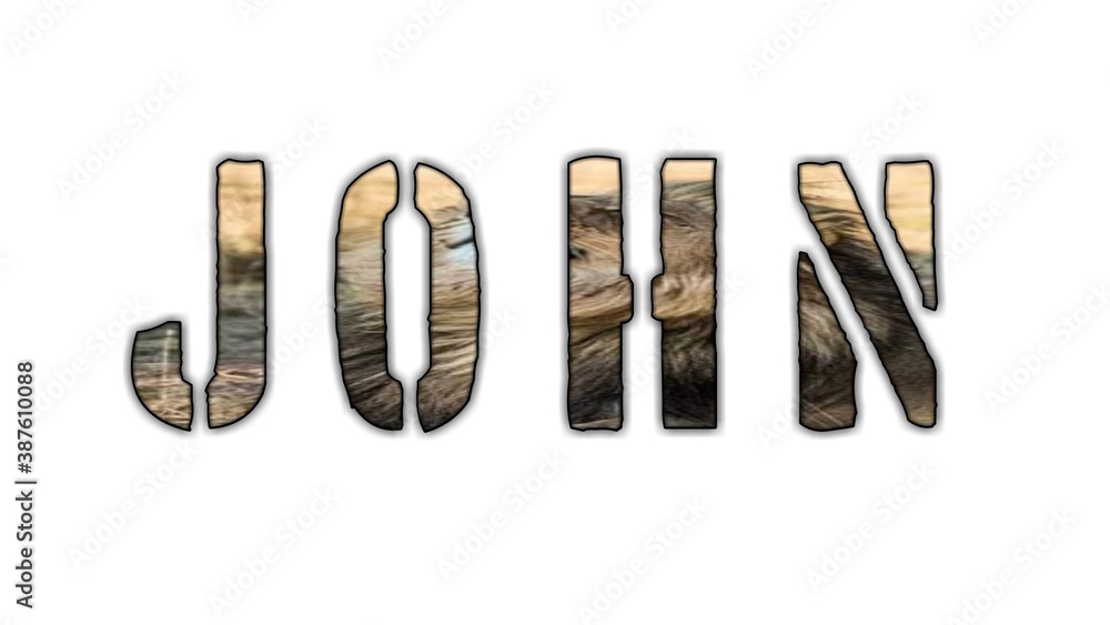 JOHN NAME JOHN NAME