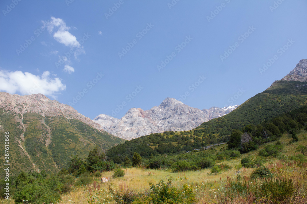 landscape in the mountains