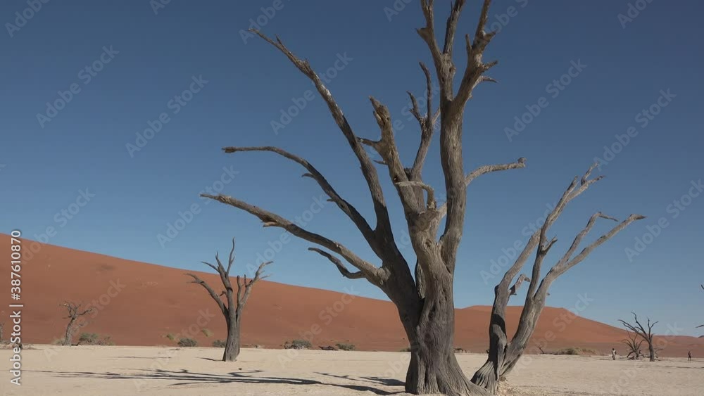 Namibia. Sossusvlei. Namib Desert on sunny early morning in Namib-Naulkuft Park in Namibia, southern Africa. Namibia. Sossusvlei. Namib Desert on sunny early morning in Namib-Naulkuft Park in Namibia, southern Africa.
