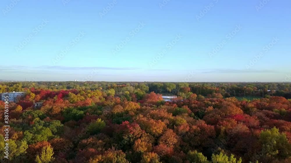 Aerial view flying backward revealing the woods with the colors of Autumn Aerial view flying backward revealing the woods with the colors of Autumn