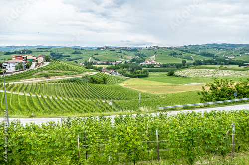 panorama of the Langhe hills with many vineyards