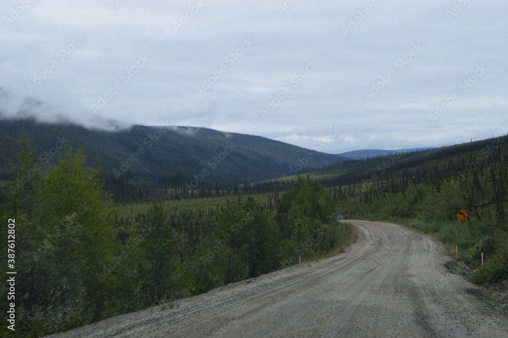 Fototapeta premium Road tripping and hiking in Northern Alaska and the Town of Chicken - USA