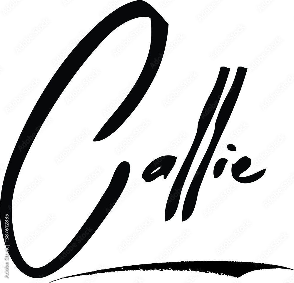 Obraz premium Callie-Female/Girl Name Modern Brush Calligraphy Cursive Text on White Background
