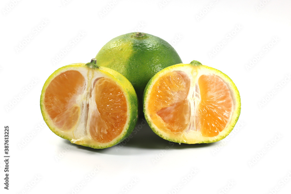imported fruit in season September Miyagawa Miyagawa imported fruit in season September Miyagawa Miyagawa