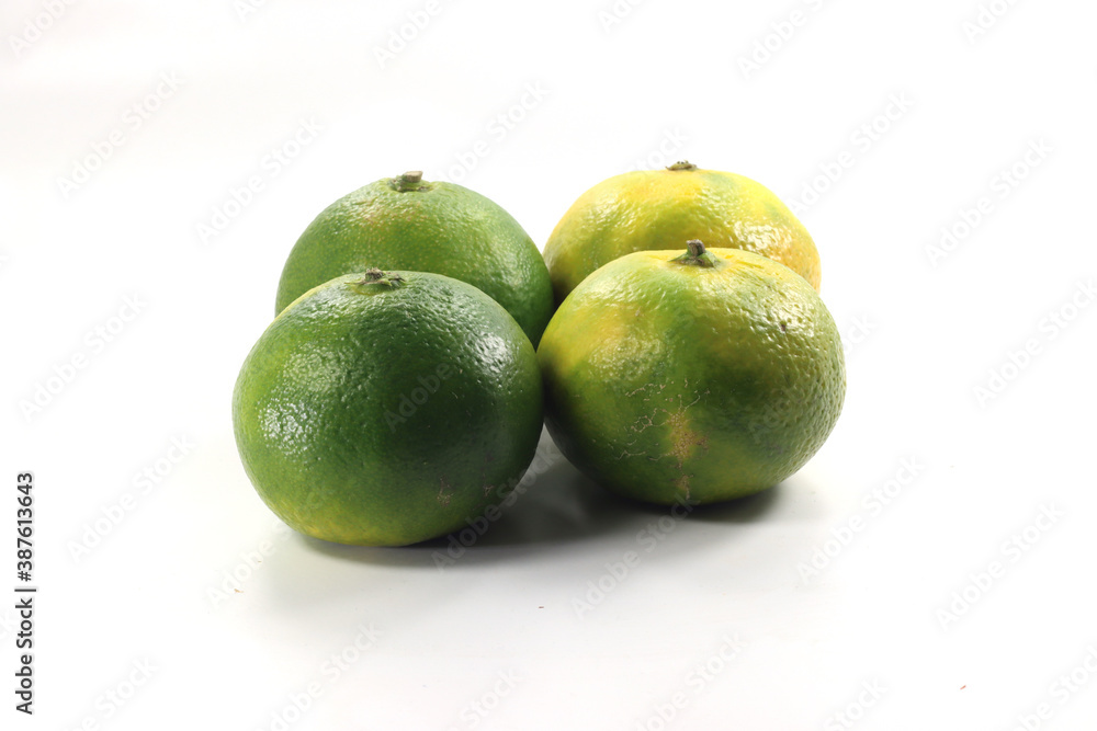 imported fruit in season September Miyagawa Miyagawa imported fruit in season September Miyagawa Miyagawa