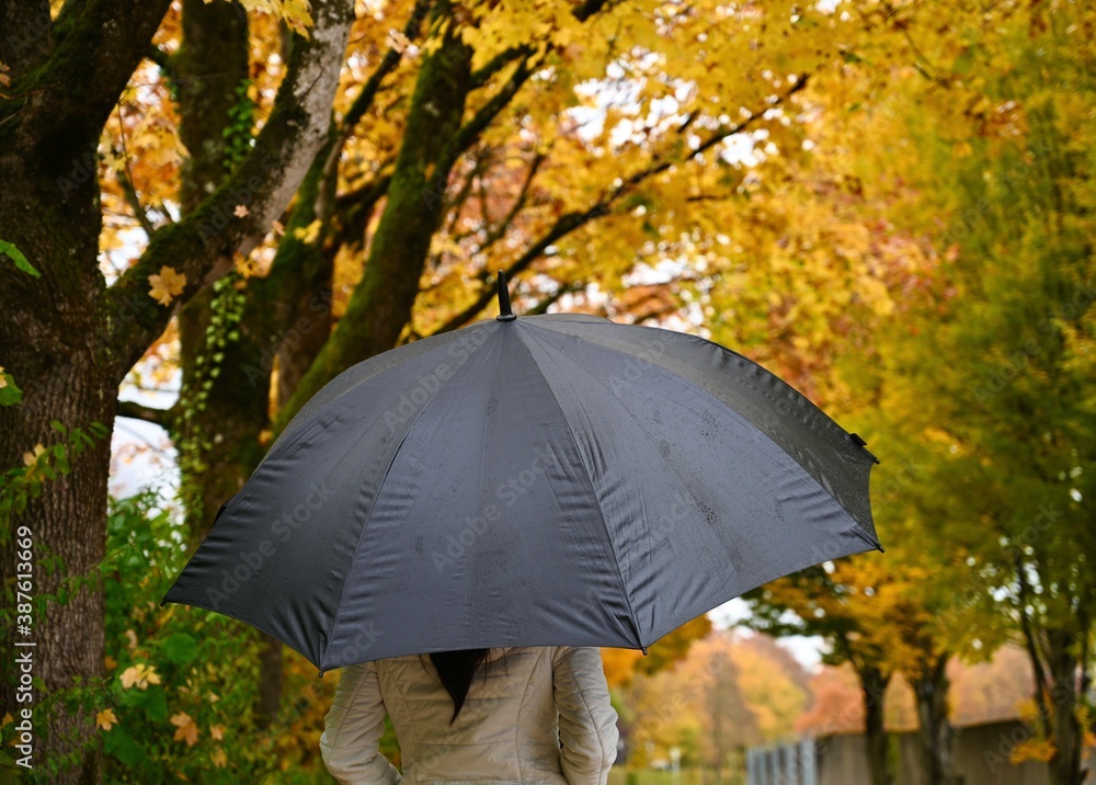 Young woman with black umbrella walking in the park . Golden autumn landscape. 
