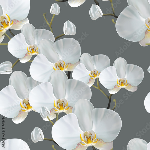 Seamless texture. Pattern for printing on textiles and paper. White orchids . Festive luxury background