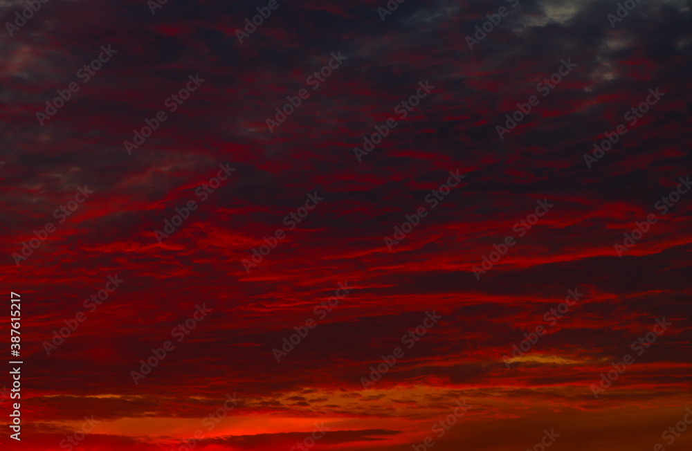 Red clouds in the sunset sky (background) - obrazy, fototapety, plakaty 