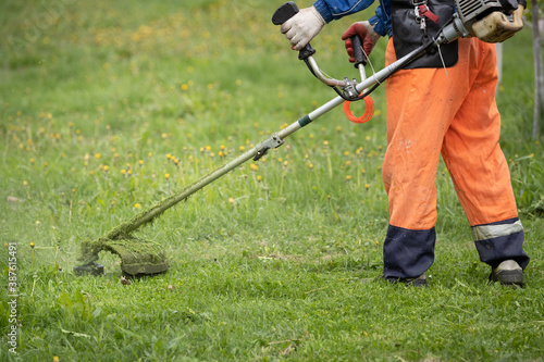 A worker in overalls with a trimer in his hands mows the grass on the lawn in the park. The powerful mower mows flowers and other plants. Territory care.