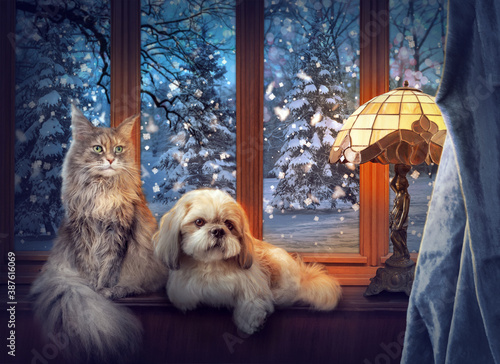 Maine Coon cat and Shih tzu dog siting on the window sill. In the background, evening winter landscape. Digital art