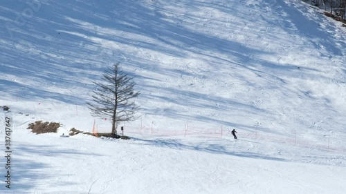 Wallpaper Mural Young adult recreational skier enjoys idyllic perfect weather in cold winter at ski resort Torontodigital.ca