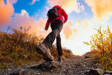 View of Woman Hiking Rocky Trail from Below during Fall in Canadian Nature. Sunset Sky Artistic Render. Taken in Tombstone Territorial Park, Yukon, Canada.