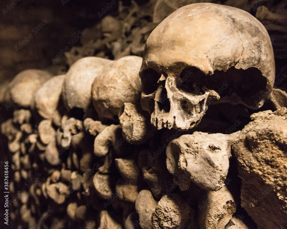 skull and crossbones on black