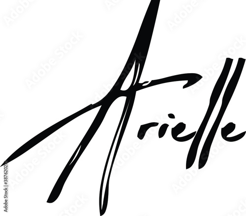 Obraz na plátně Arielle-Female Name Modern Brush Calligraphy Cursive Text on White Background