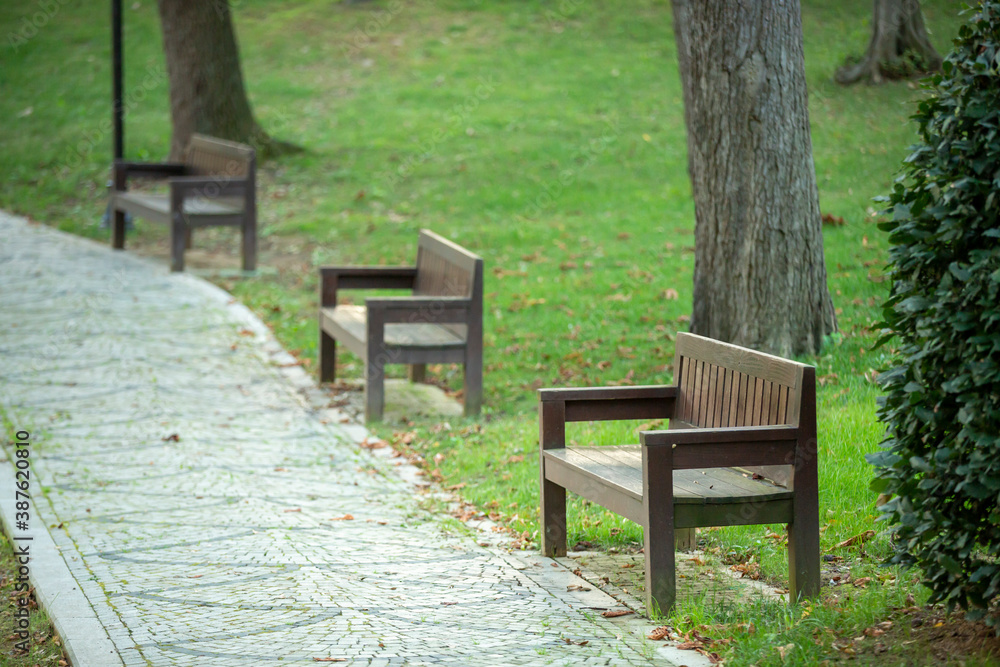 wooden seat standing in the park. wooden seat standing in the park.