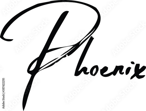 Phoenix-Female Name Modern Brush Calligraphy Cursive Text on White Background