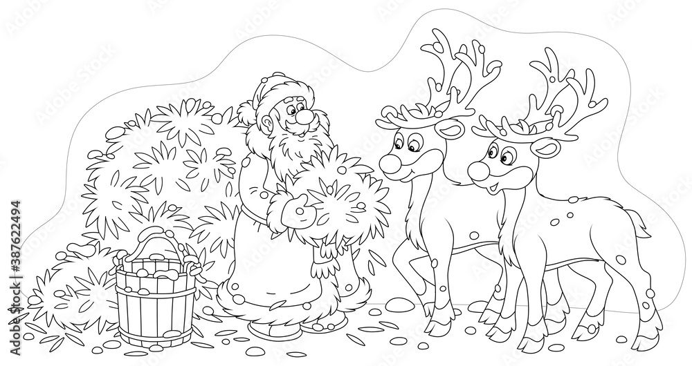 Santa Claus Feeding Reindeer With Tasty Hay Before His Magic Journey Around The World In The