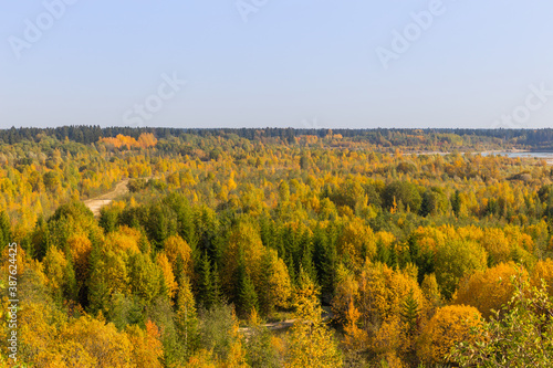 Beautiful view of the autumn forest. Yellow, red, green trees. View from above.