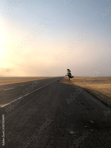 Foggy morning in Yellowstone National Park, WY