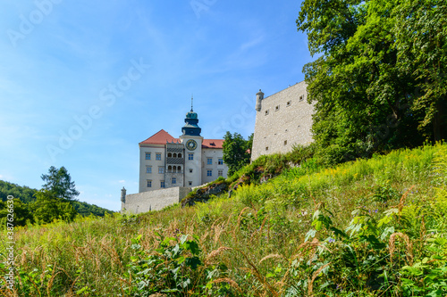 Pieskowa Skala Castle - a castle in the village of Suloszowa, Poland.