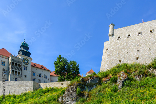 Pieskowa Skala Castle - a castle in the village of Suloszowa, Poland.