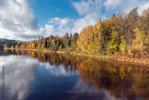 Landscape view of Gauja river with reflected trees in Sugulda, Latvia during the golden autumn © Julija