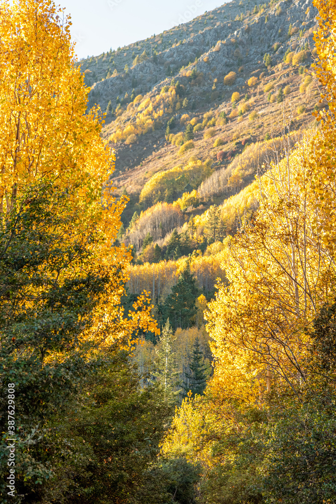 Autumn trail in the sunrise