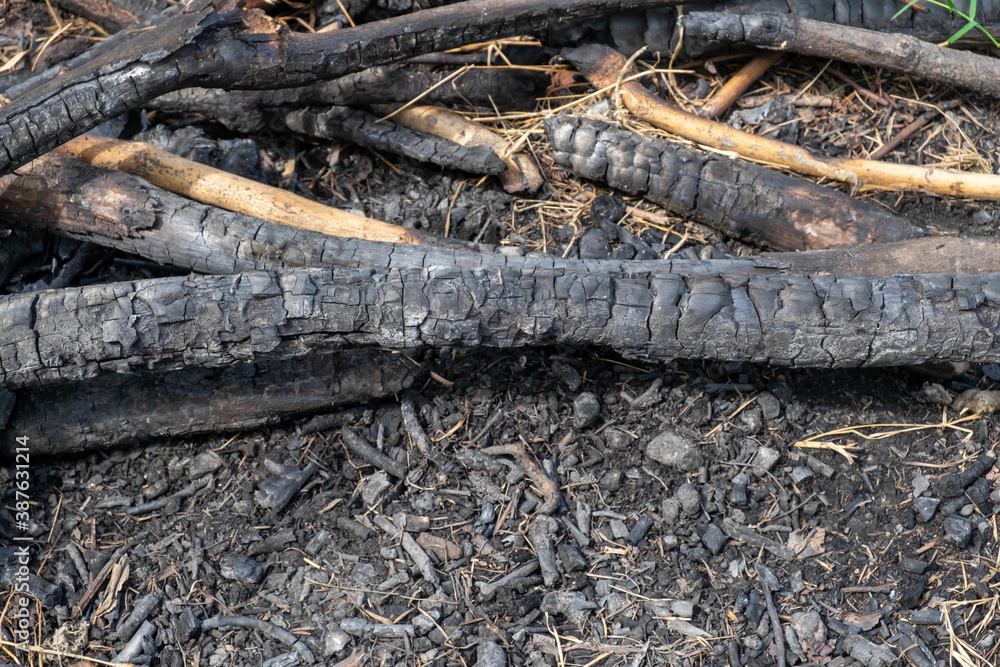The wood was burned to charcoal.back charcoal. The wood was burned to charcoal.back charcoal.