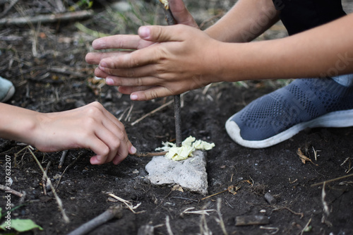 survival skills in the wild for kids. Lessons from tourism and survival in nature.