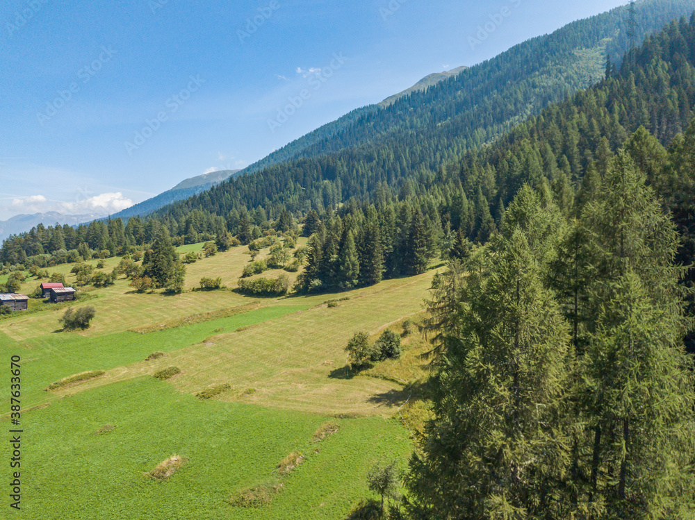 Aerial view of Goms valley in Switzerland from above during summer. Green forest on mountain slopes in Swiss alps.
