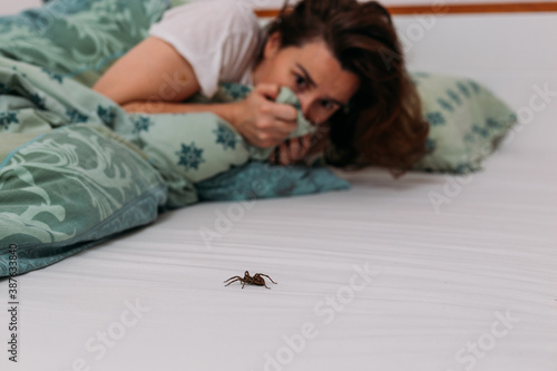 фотографія Woman in bedroom terrified by big spider crawling over her bed
