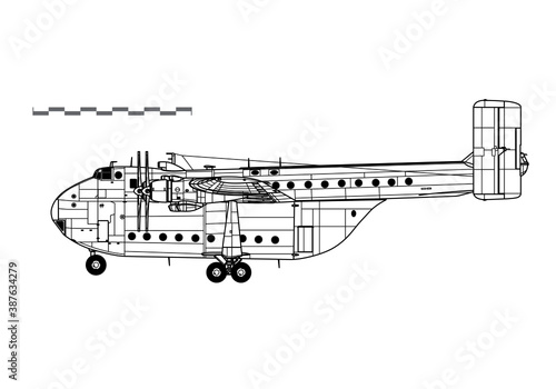 Blackburn Beverley. Vector drawing of military heavy transport aircraft. Side view. Image for illustration and infographics.