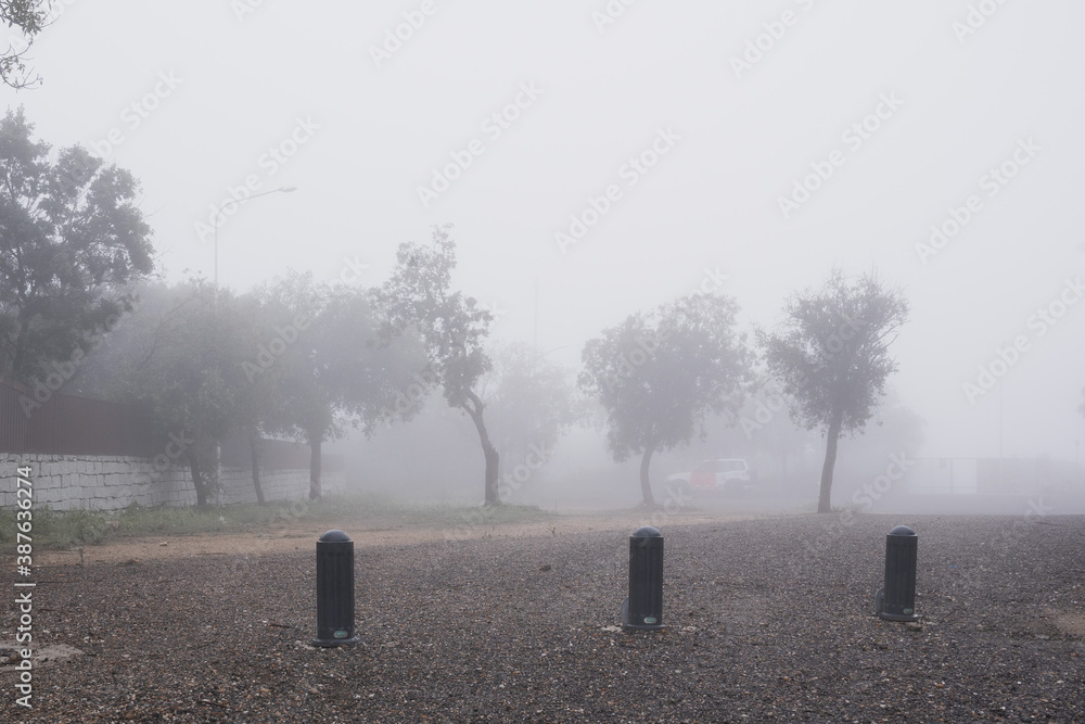 Civil protection patrol between trees in a foggy landscape