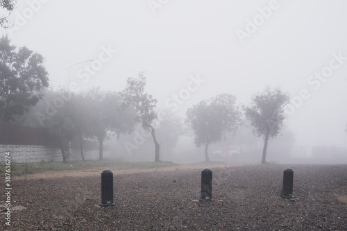 Obraz na płótnie Civil protection patrol between trees in a foggy landscape w salonie