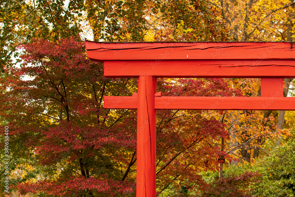 Zen Garten im Herbst