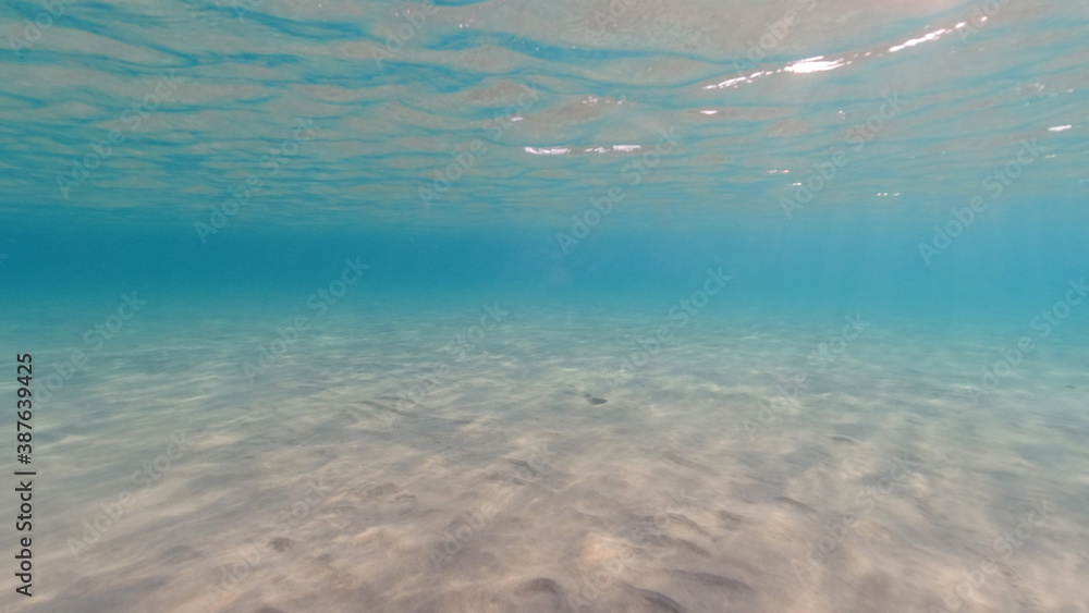 Underwater Aegean sea paradise beach with emerald - turquoise sea, Greece