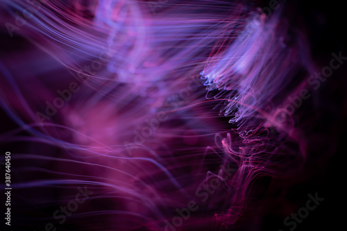 Fotografie light painting photography, waves of vibrant color against a black background
