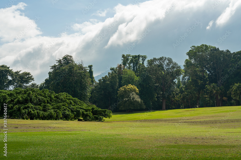 Peradeniya Royal Botanical Gardens, Kandy, natural green landscape, Sri Lanka.