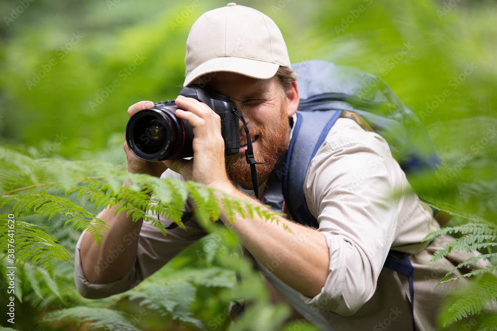 photographer is using camera in the forest photographer is using camera in the forest