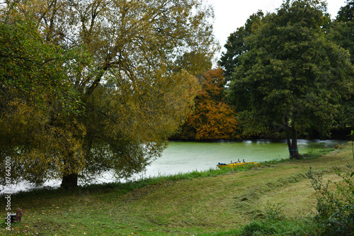 an autumn lake covered with green leaves near autumn trees with yellow green leaves in a calm relaxing village 