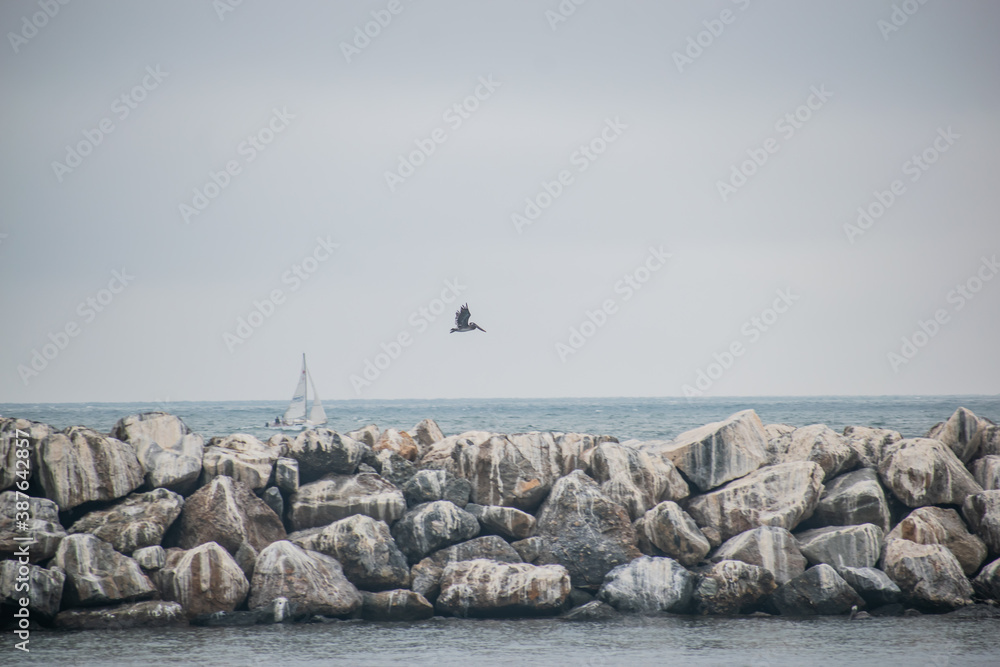 Birds skim across water at breakwater Birds skim across water at breakwater