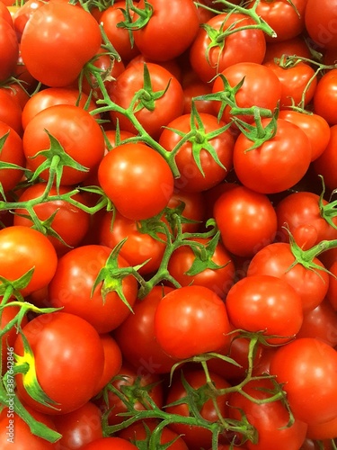 closeup of many ripe new season locally grown tasty organic tomatoes 