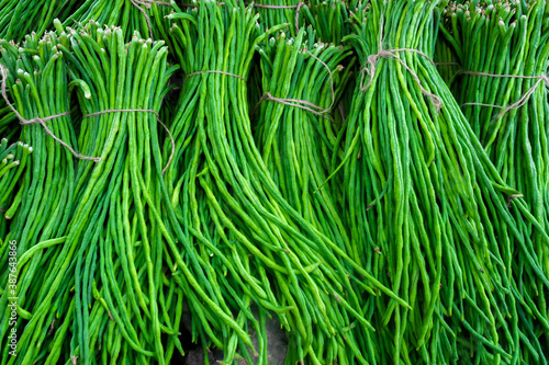 фотографія A group of Asparagus Bean or Long yard bean fresh green vegetable bundles ready for sale to market