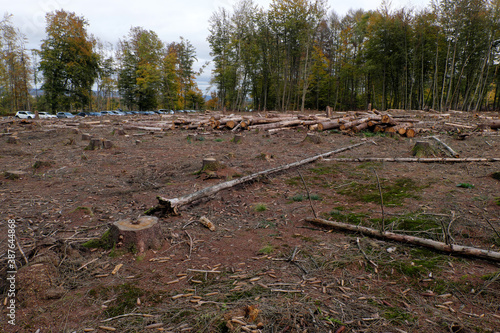 Abgeholzter Wald an Wanderparkplatz am Köppel im Westerwald bei Ransbach-Baumbach in Rheinland-Pfalz im Oktober 2020 in Zeiten von Klimawandel und Erderwärmung - Stockfoto