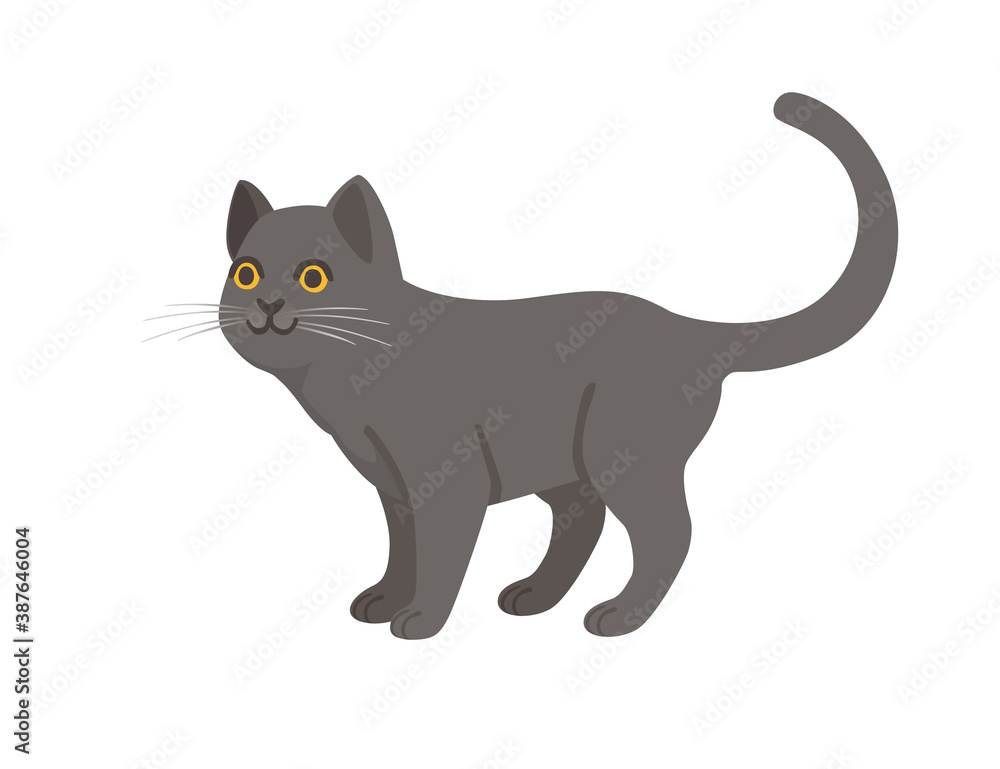 Cute cartoon animal design gray domestic cat adorable animal flat vector illustration