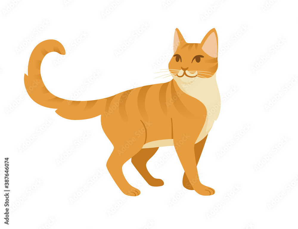 Cute cartoon animal design red striped domestic cat adorable animal flat vector illustration
