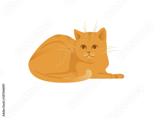 Cute cartoon animal design red striped domestic cat adorable animal flat vector illustration