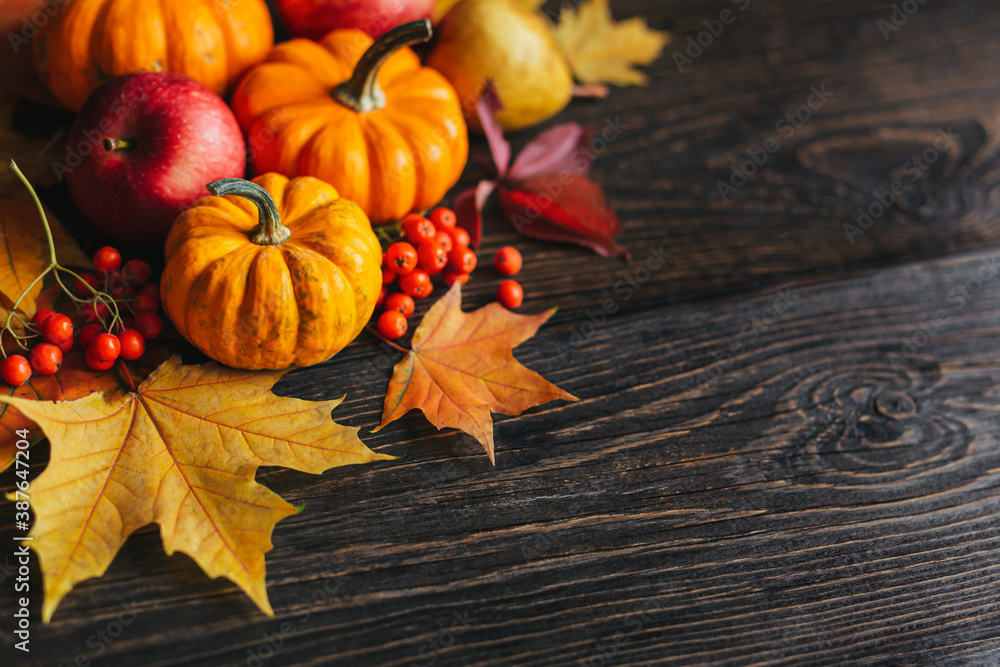 Autumn background with pumpkins, apples, pear, rowan berries and golden maple leaves. Dark rustic wooden background. Autumn background with pumpkins, apples, pear, rowan berries and golden maple leaves. Dark rustic wooden background.