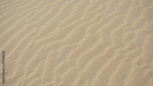 Beach travel concept – man walking away on beach sand coastline and camera follows footprints. Footsteps on sand during summer vacation. Video of Bugaz Spit, Anapa – Russia seascape.  photo