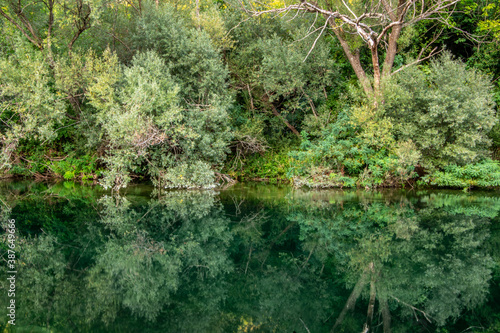 Scenic view of green forest near the river Cetina. Reflection of trees in the water. Omis, Croatia.